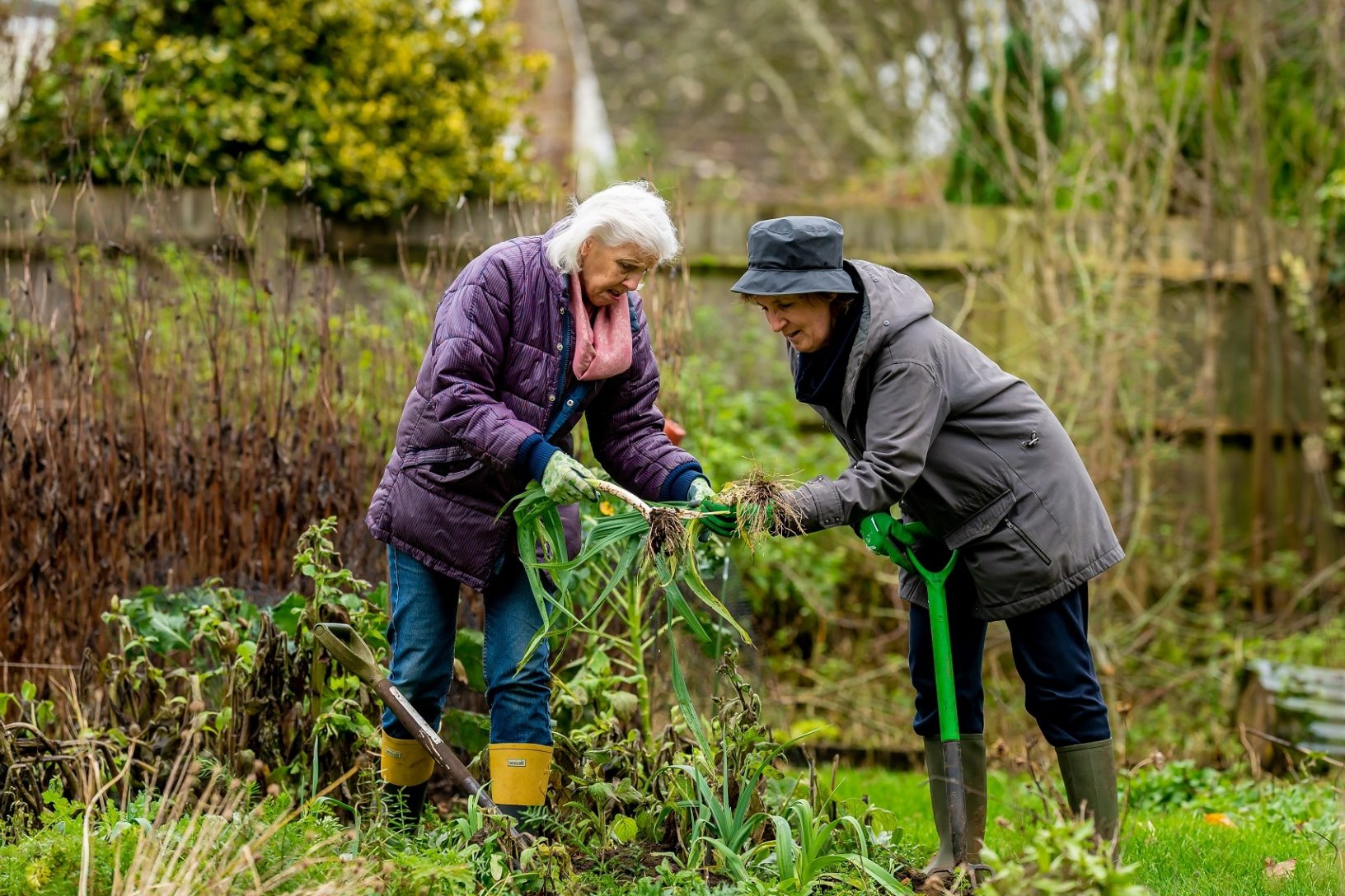 Community gardening